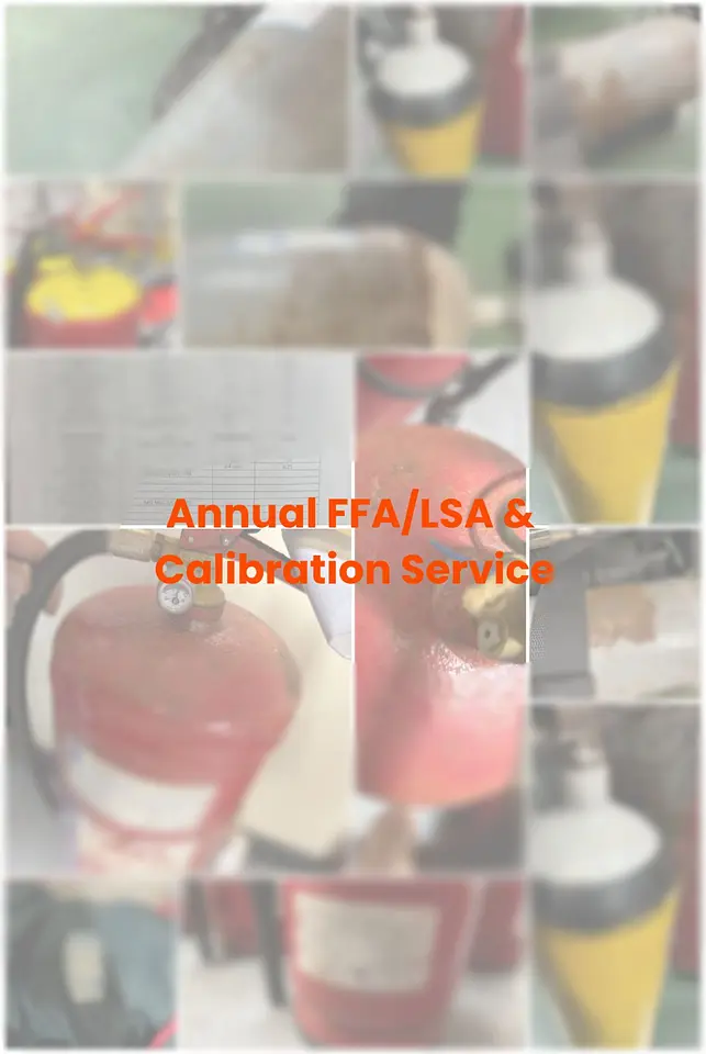 Annual FFA/LSA & Calibration Service – Port Jerome, France, photo 10