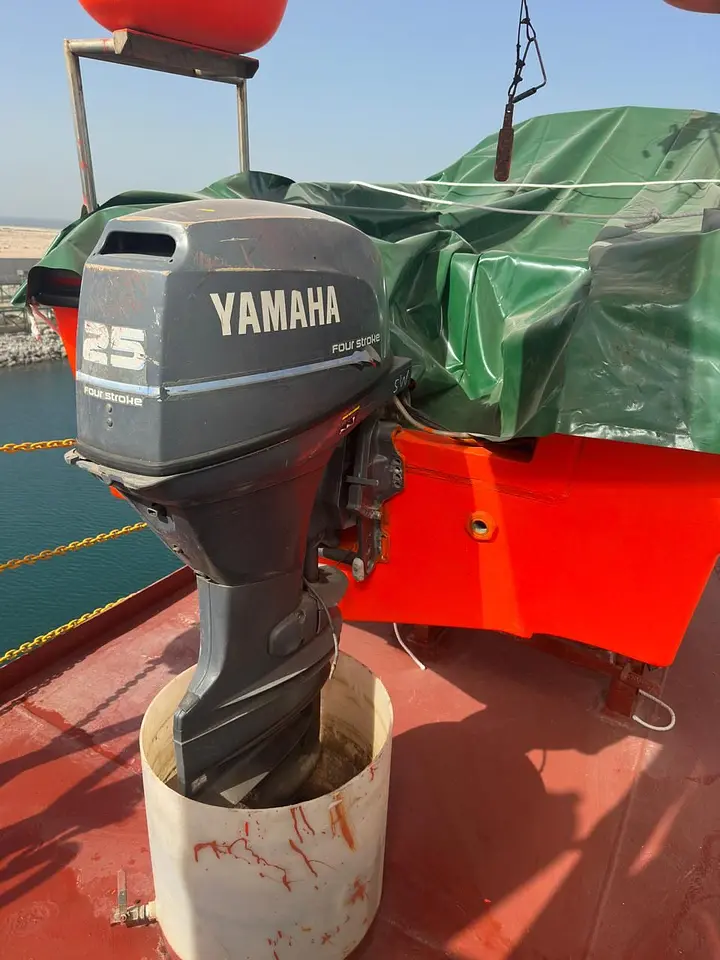 Annual Inspection of Free-Fall Lifeboat & Rescue Boat Systems – Hamriyah Port, photo 6