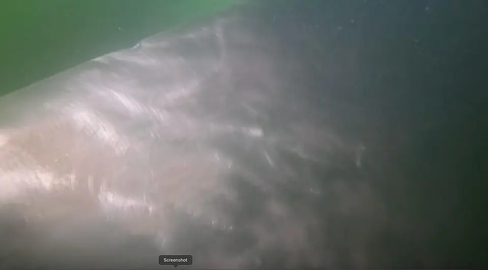 Underwater Hull Inspection Successfully Completed @ Morocco, photo 1