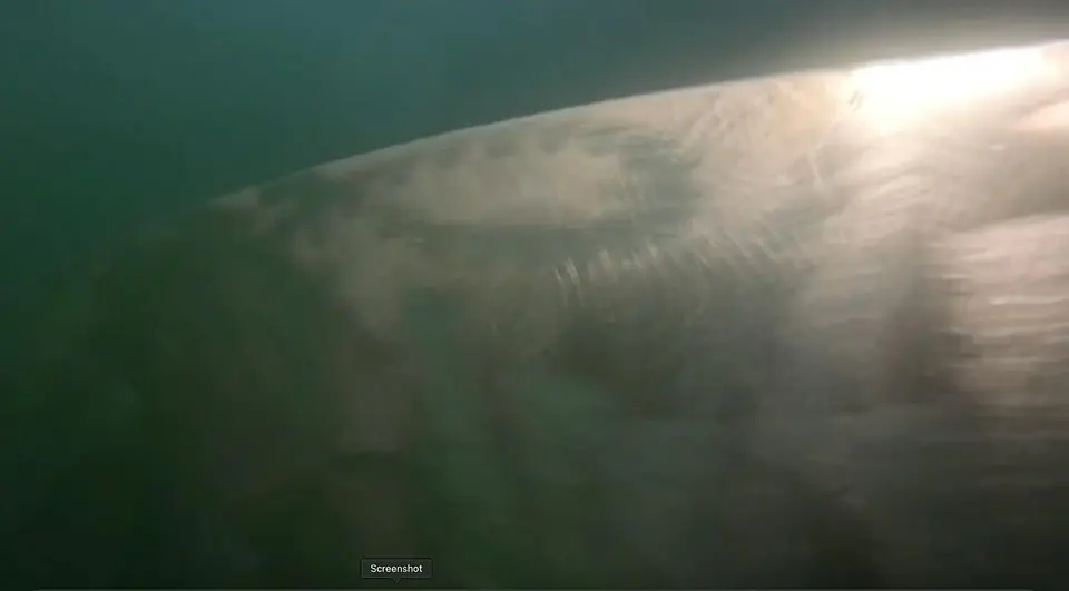 Underwater Hull Inspection Successfully Completed @ Morocco, photo 2