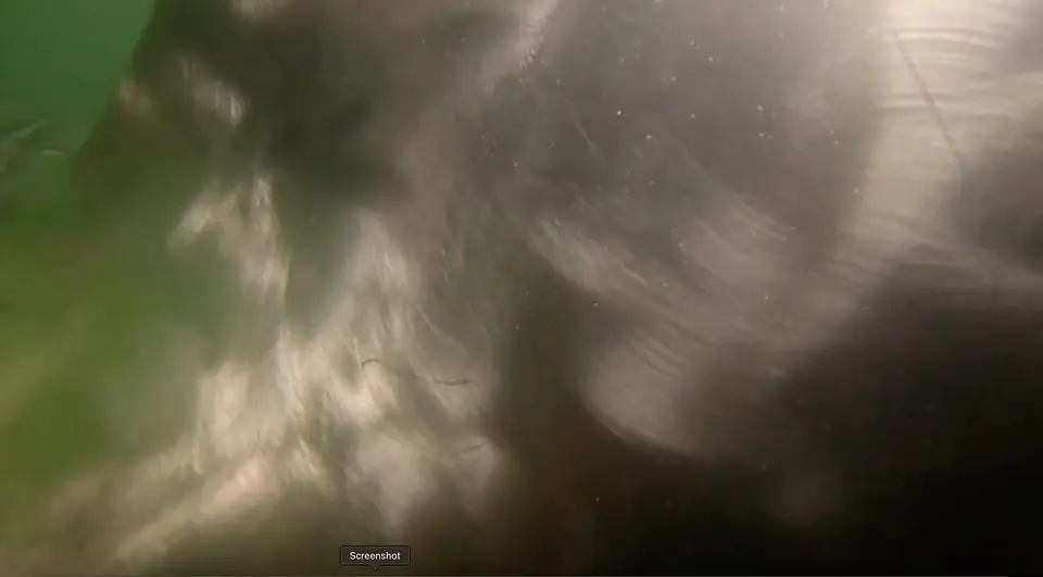 Underwater Hull Inspection Successfully Completed @ Morocco, photo 12