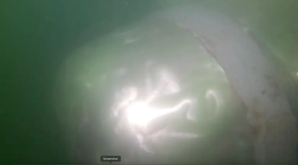 Underwater Hull Inspection Successfully Completed @ Morocco, photo 9