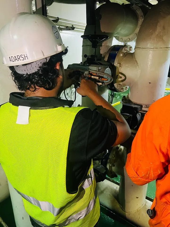 Alfa Laval BWTS Troubleshooting – Dubai Maritime City, photo 1