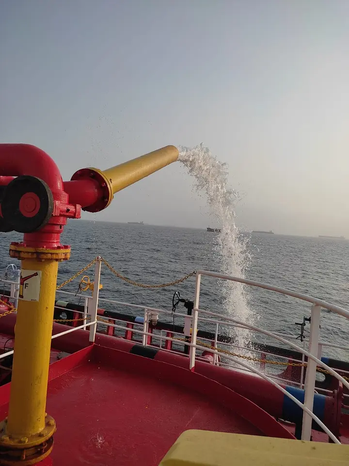 FFE Inspection @ Dubai Anchorage, photo 1